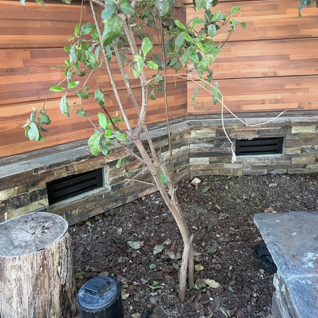 Foundation Vents