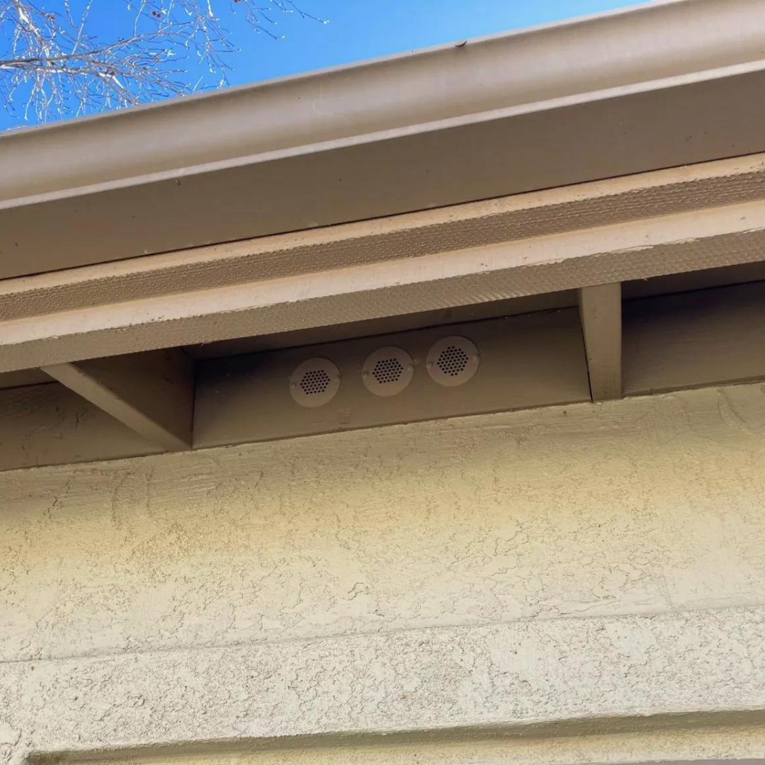Eave/Bird Hole Vents-4