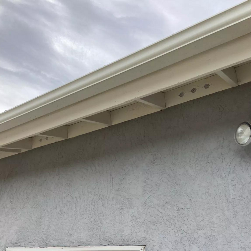 Eave/Bird Hole Vents-5