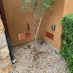 Foundation Vents-6